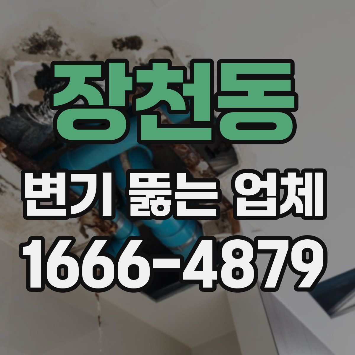장천동 변기 뚫는 업체