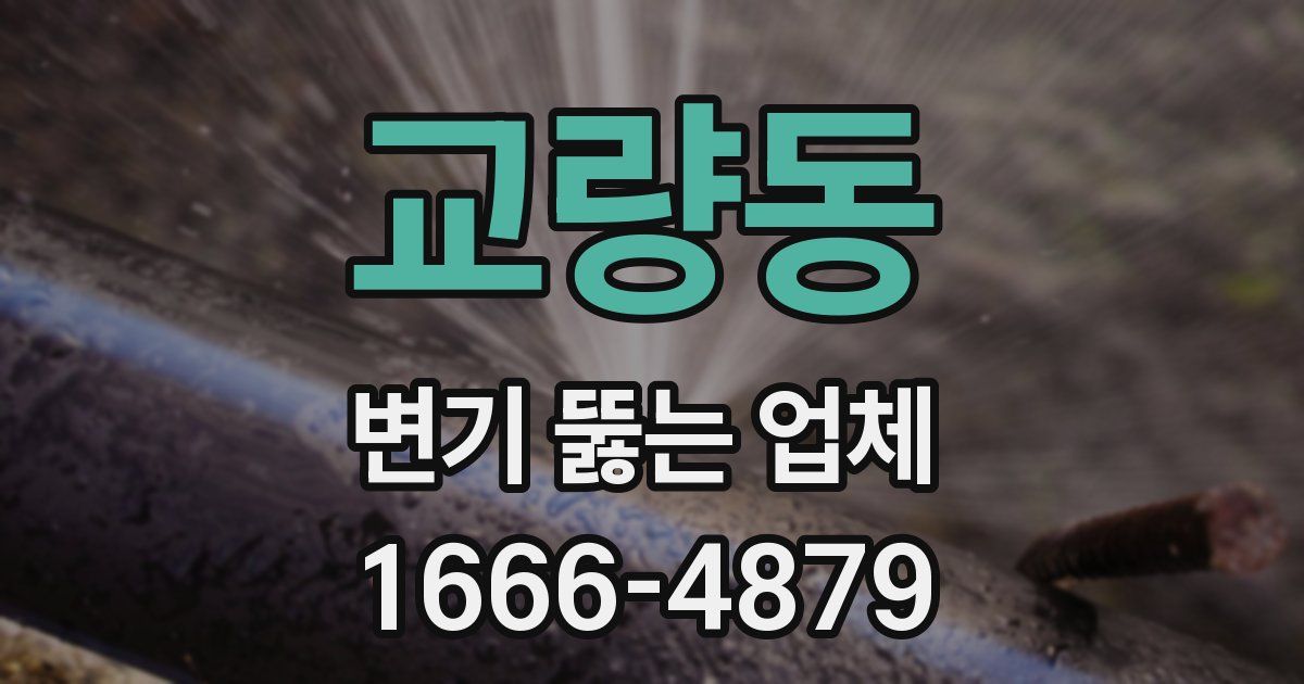 교량동 변기 뚫는 업체