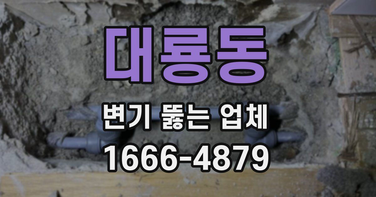 대룡동 변기 뚫는 업체