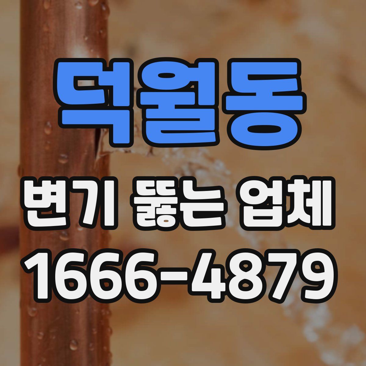 덕월동 변기 뚫는 업체