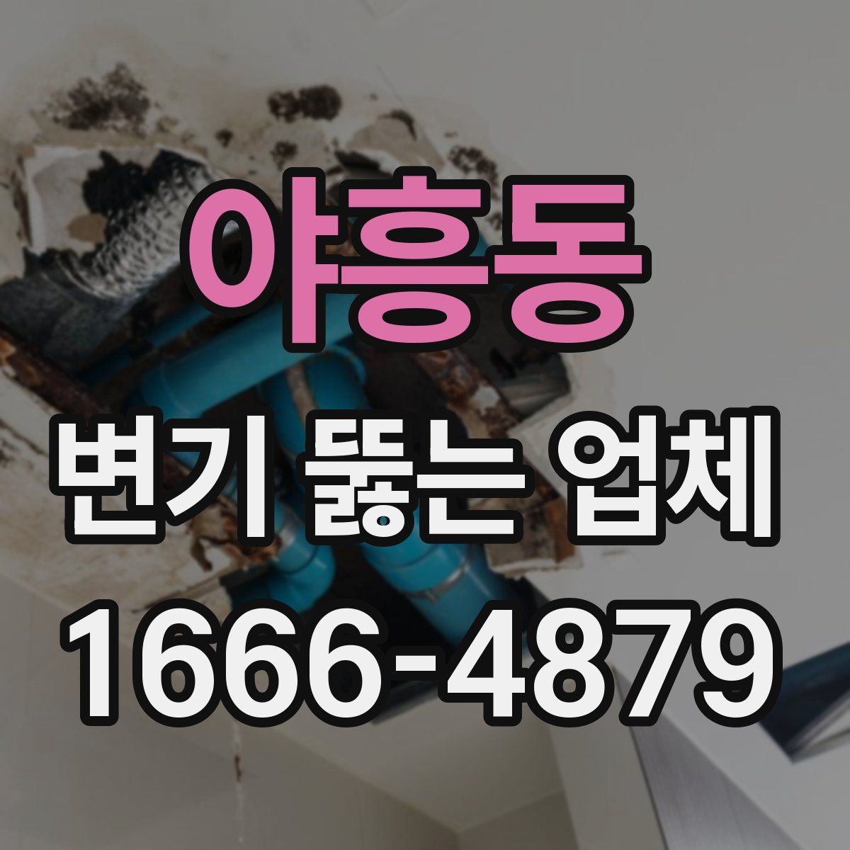 야흥동 변기 뚫는 업체