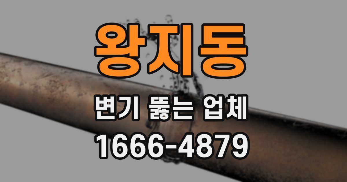 왕지동 변기 뚫는 업체