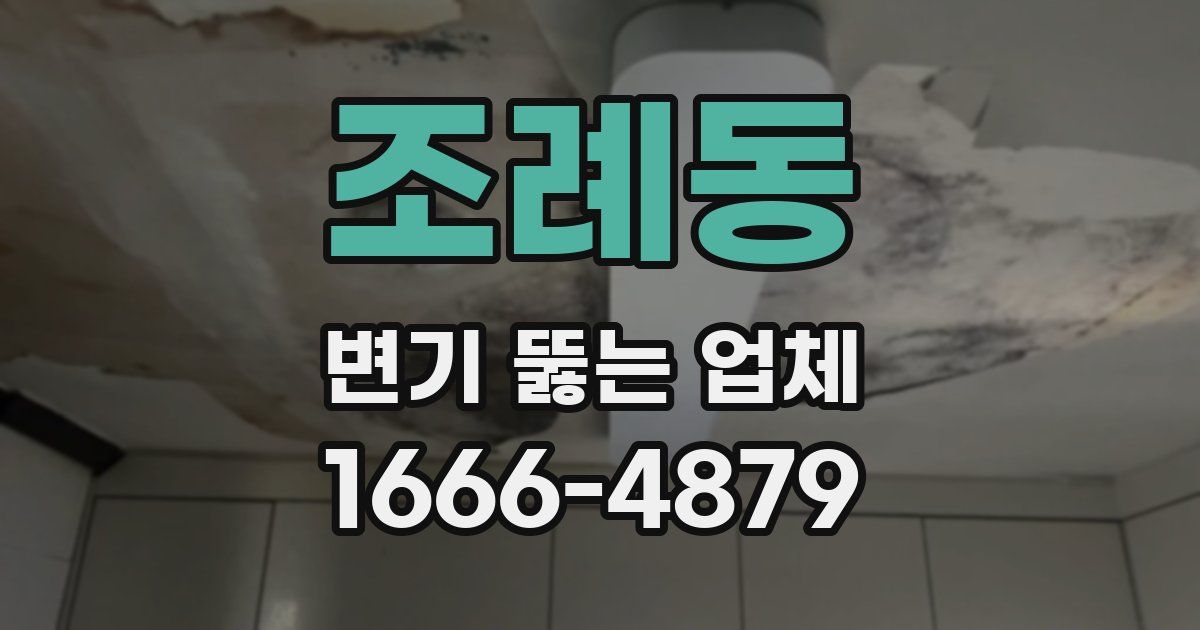 조례동 변기 뚫는 업체