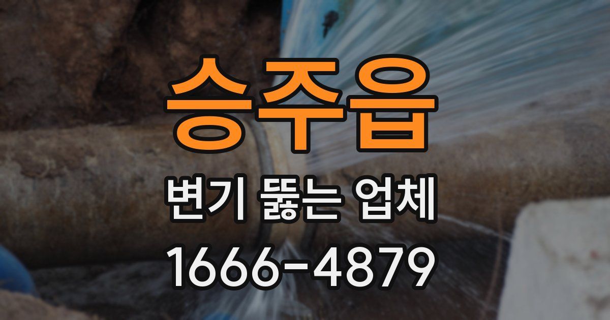승주읍 변기 뚫는 업체