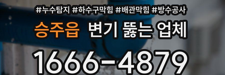 승주읍 변기 뚫는 업체