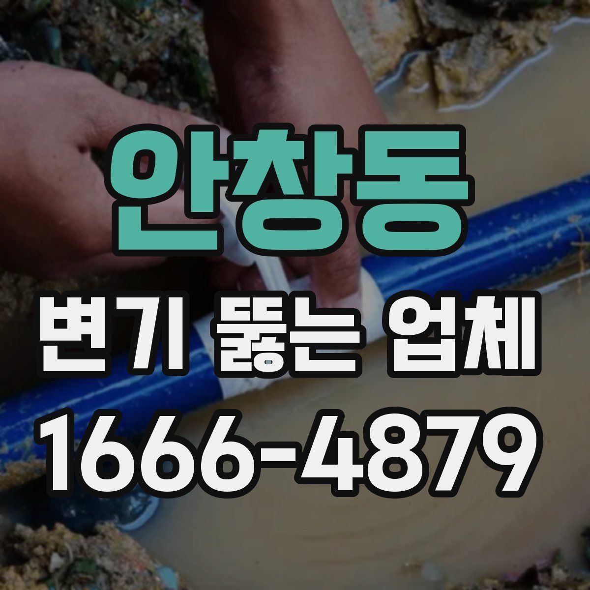 안창동 변기 뚫는 업체