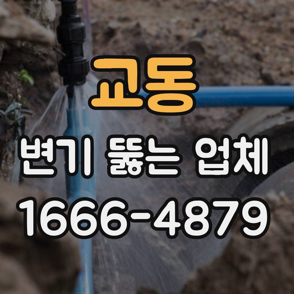 교동 변기 뚫는 업체