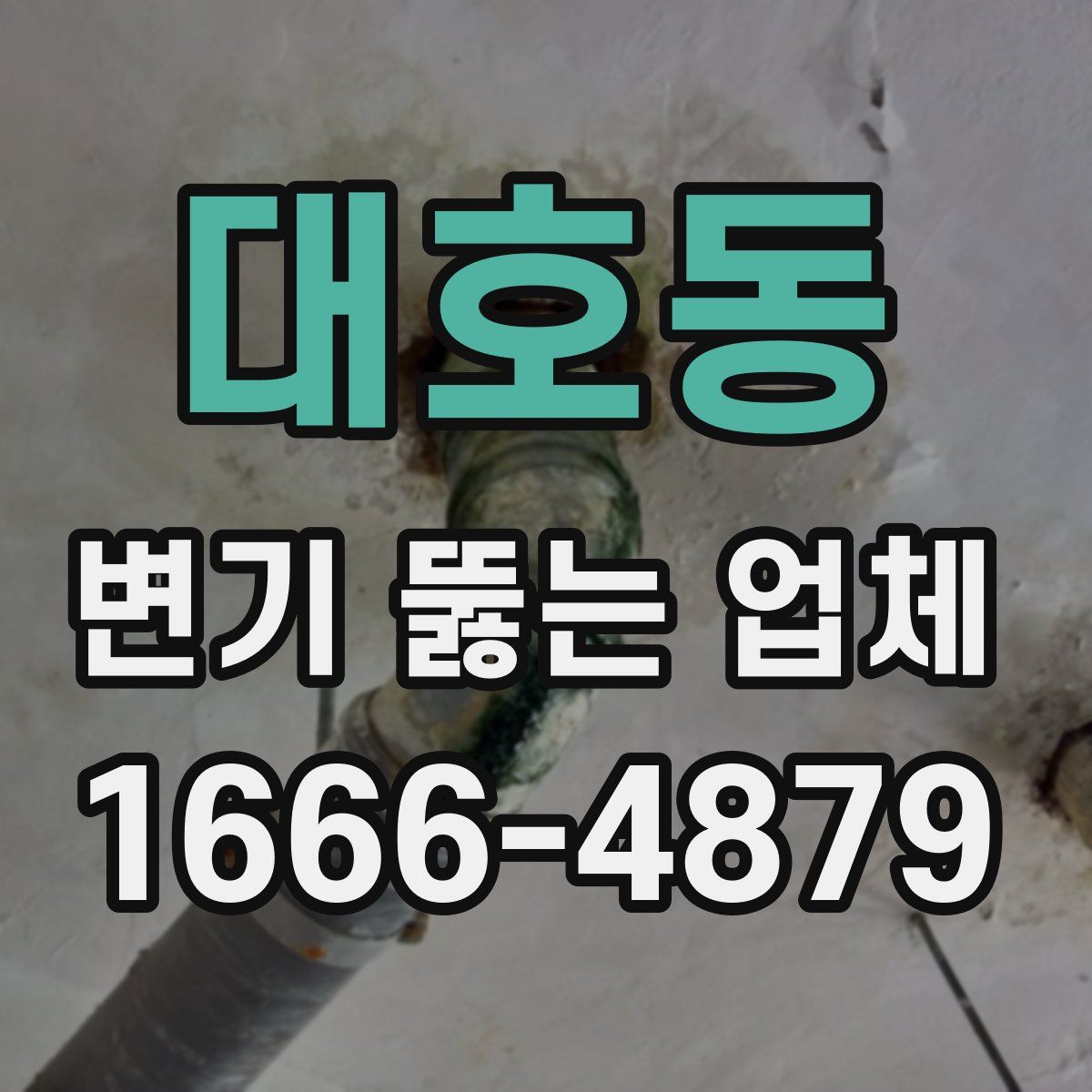 대호동 변기 뚫는 업체