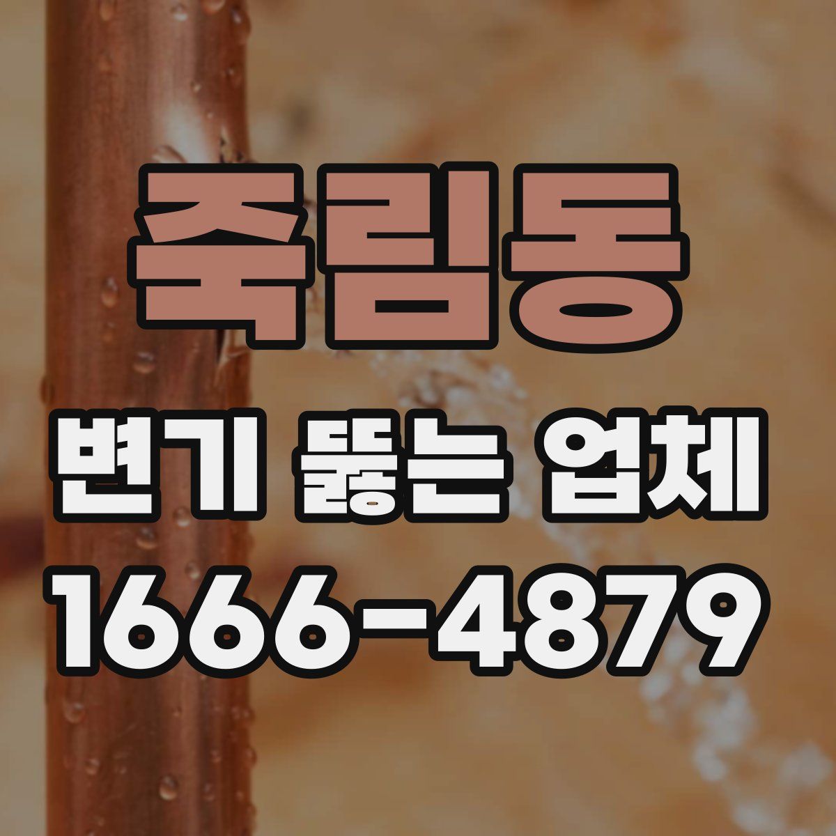 죽림동 변기 뚫는 업체