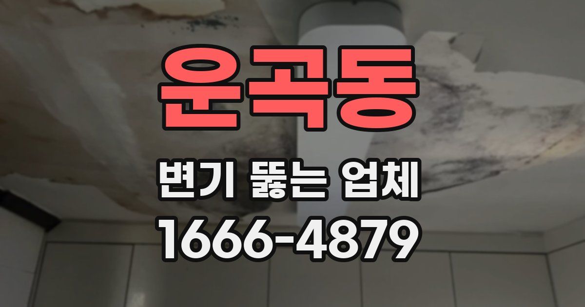 운곡동 변기 뚫는 업체