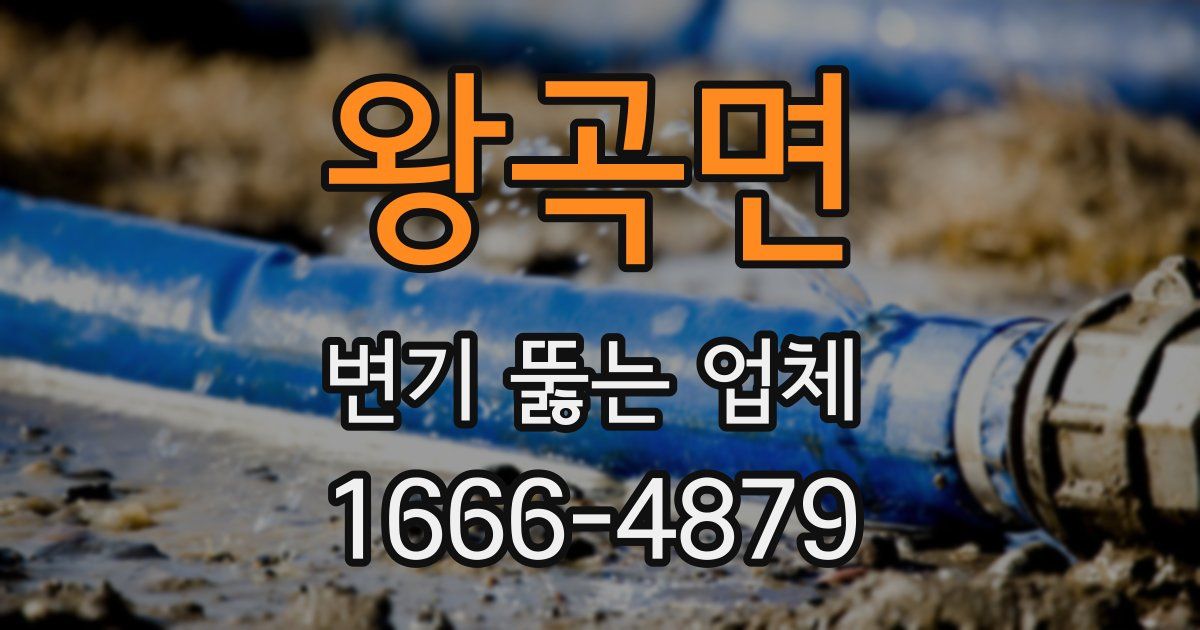 왕곡면 변기 뚫는 업체