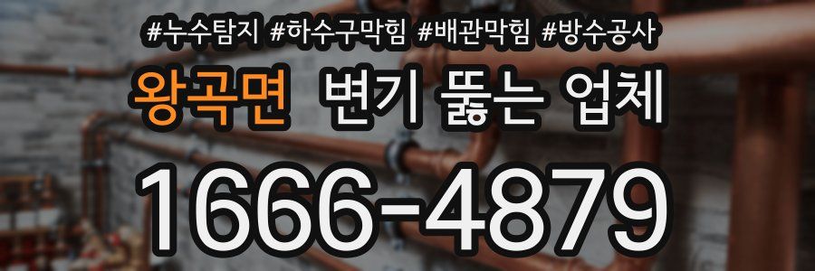 왕곡면 변기 뚫는 업체