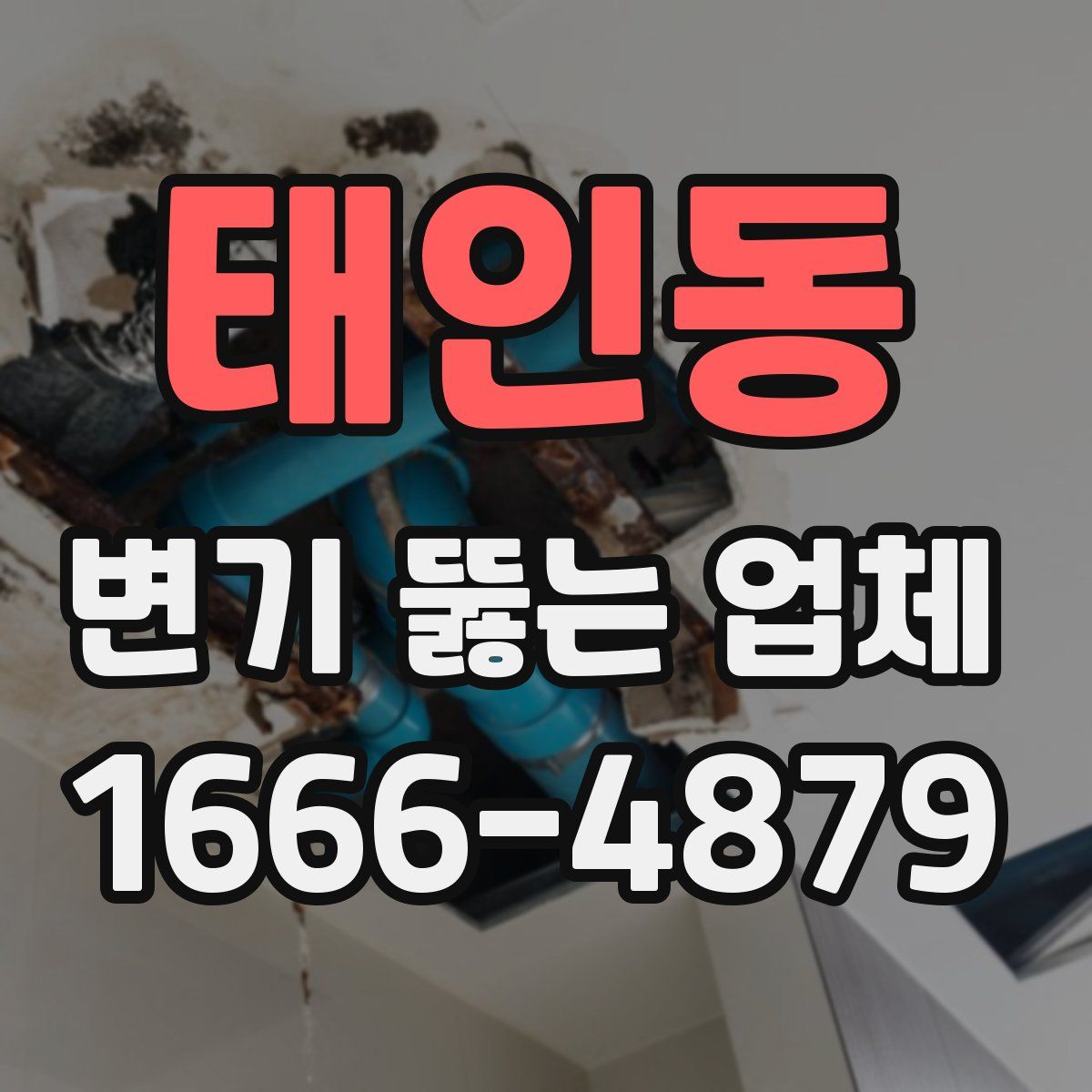 태인동 변기 뚫는 업체