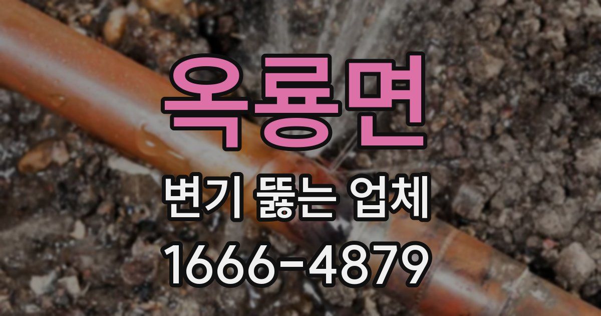 옥룡면 변기 뚫는 업체