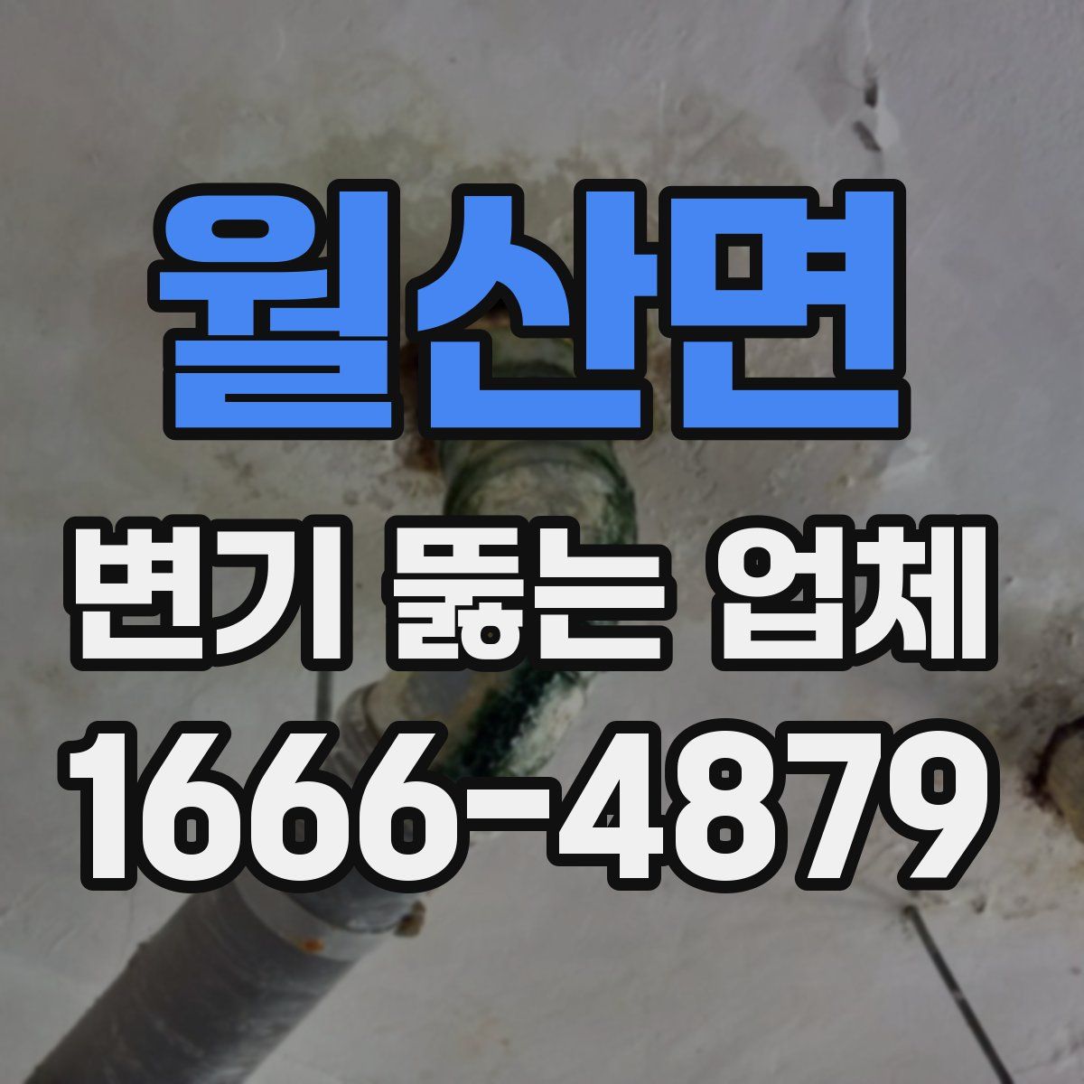 월산면 변기 뚫는 업체
