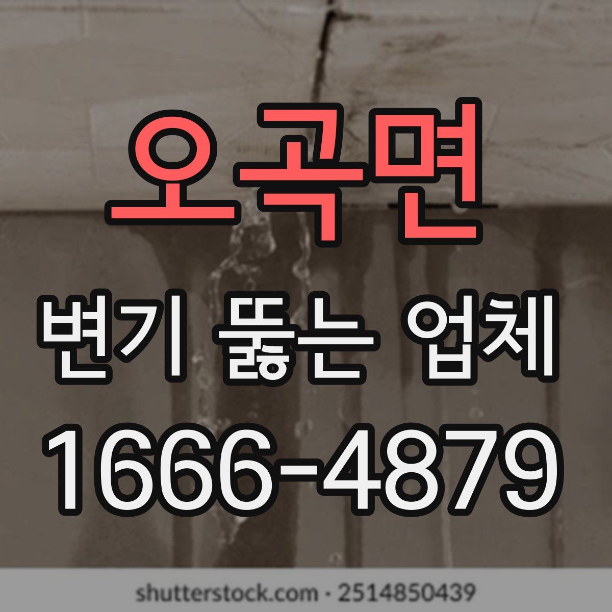 오곡면 변기 뚫는 업체