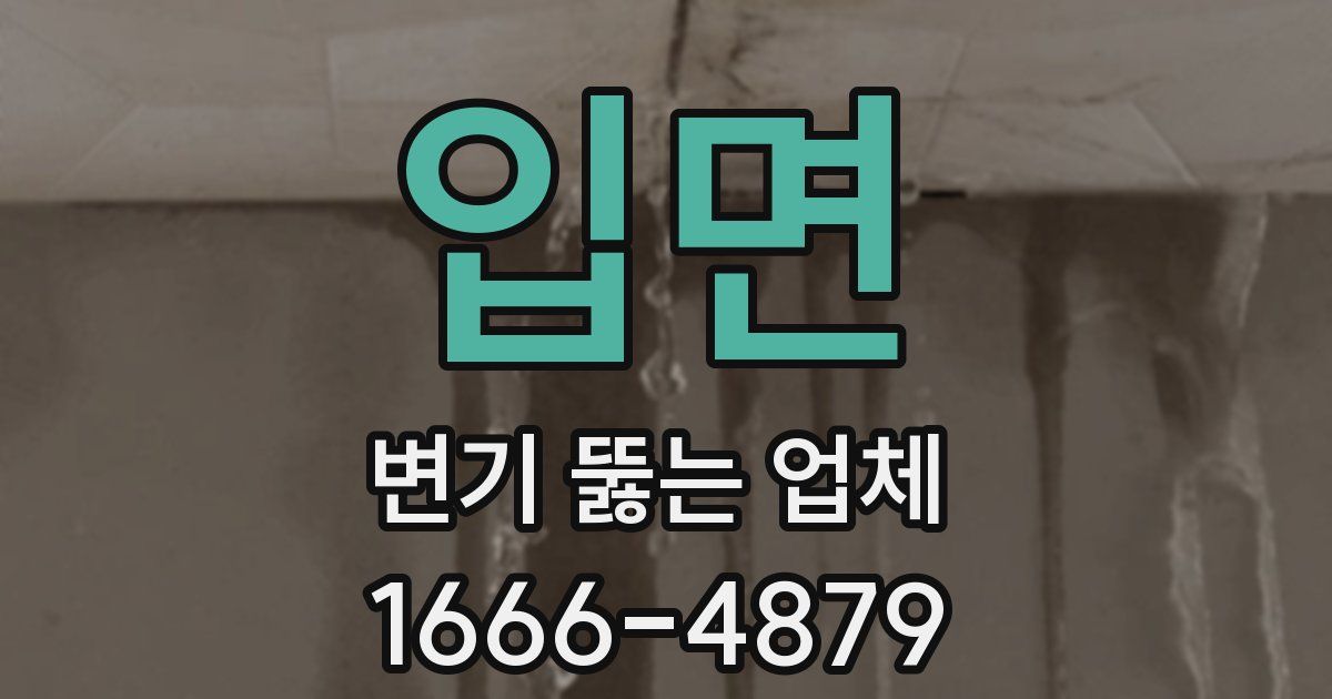 입면 변기 뚫는 업체