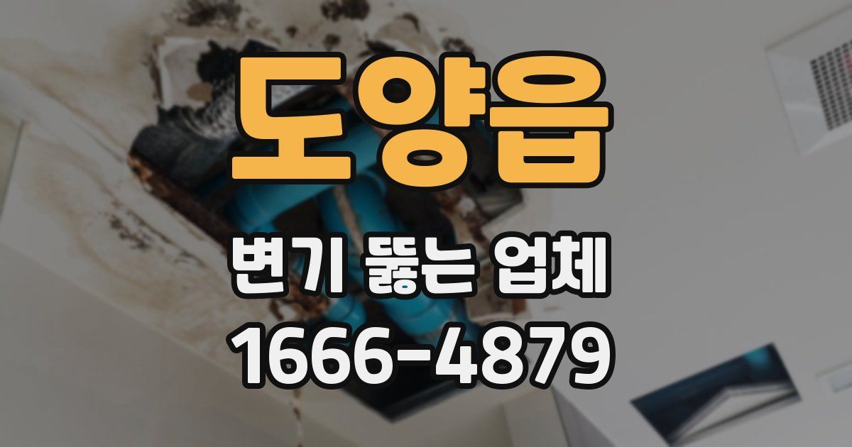 도양읍 변기 뚫는 업체
