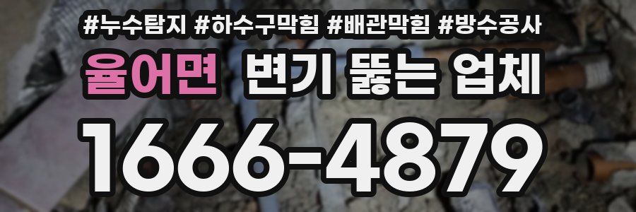 율어면 변기 뚫는 업체