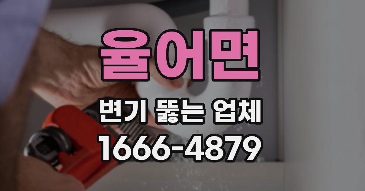 율어면 변기 뚫는 업체