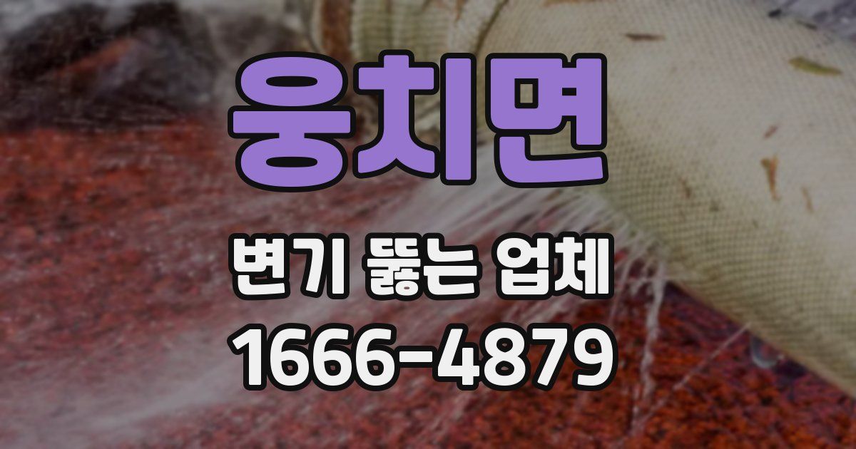 웅치면 변기 뚫는 업체