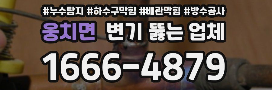 웅치면 변기 뚫는 업체