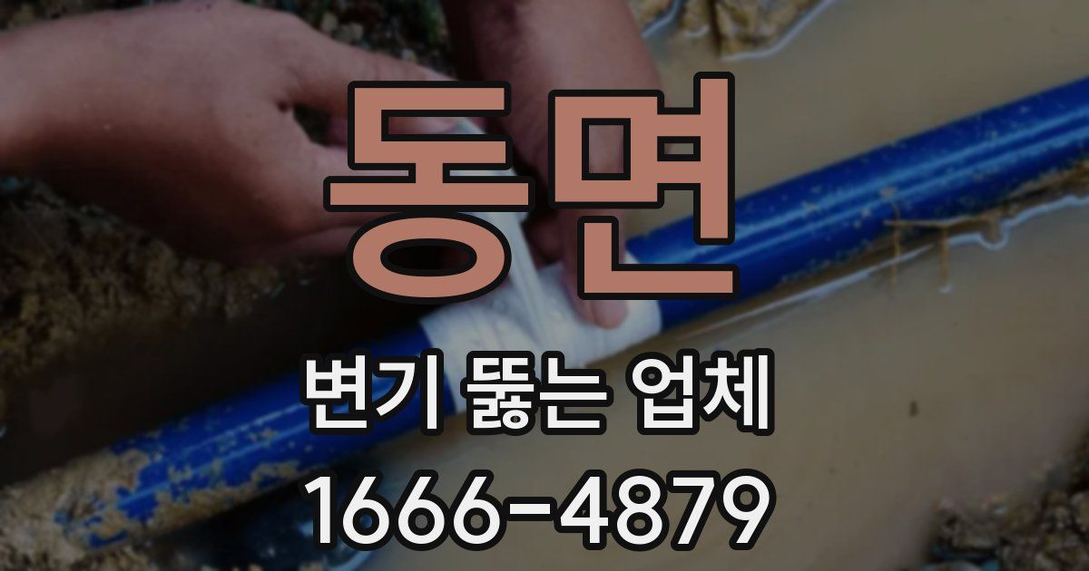 동면 변기 뚫는 업체