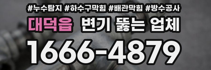 대덕읍 변기 뚫는 업체