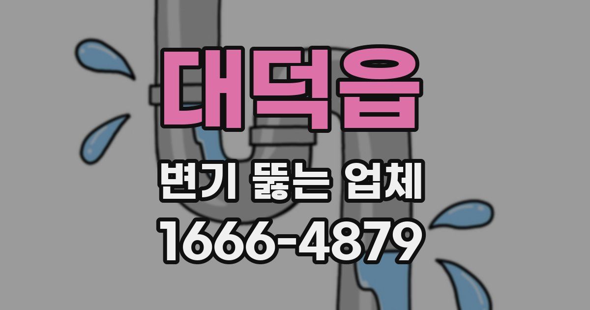 대덕읍 변기 뚫는 업체