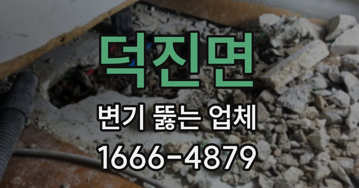 덕진면 변기 뚫는 업체
