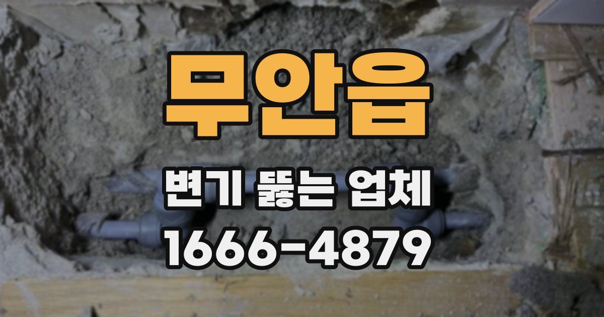무안읍 변기 뚫는 업체