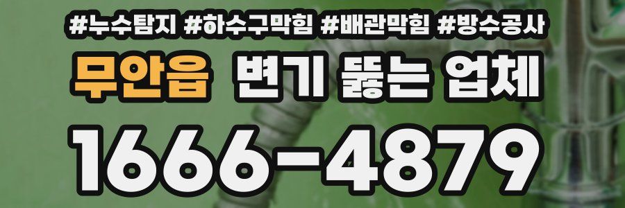 무안읍 변기 뚫는 업체