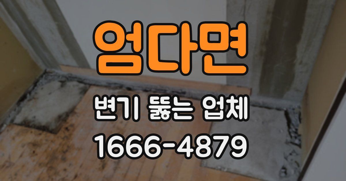 엄다면 변기 뚫는 업체