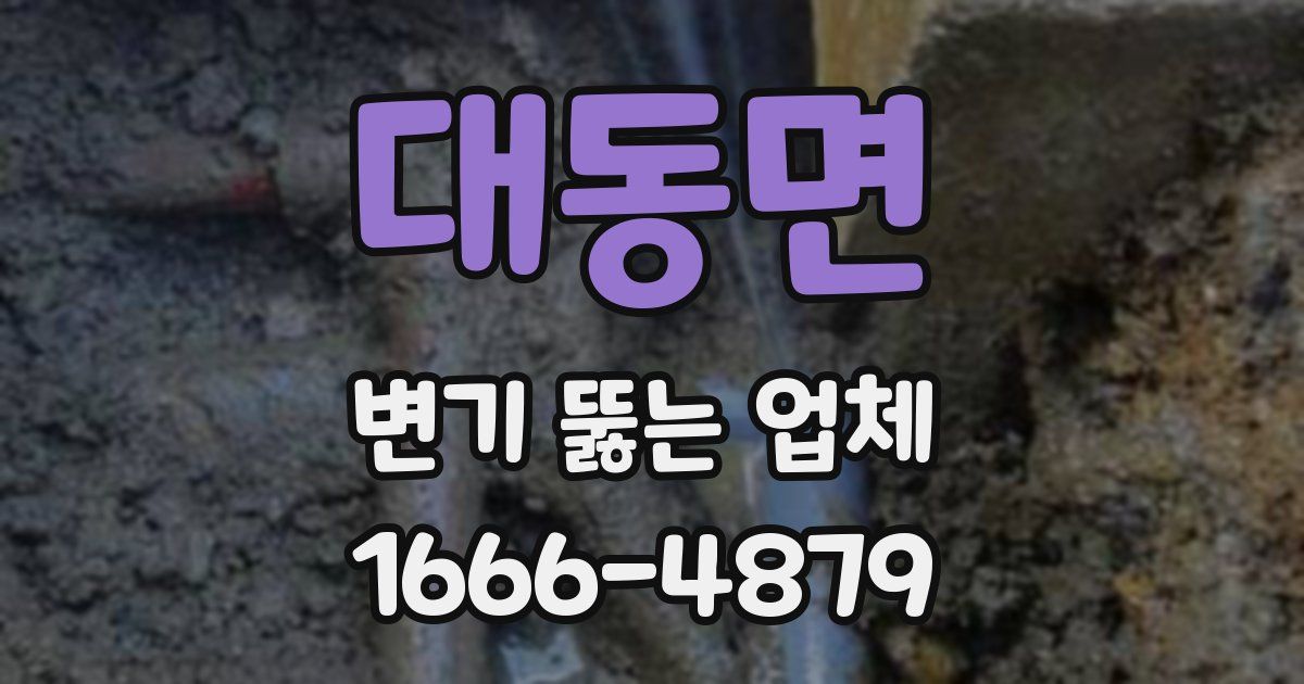 대동면 변기 뚫는 업체
