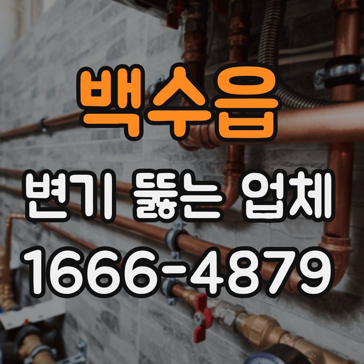 백수읍 변기 뚫는 업체