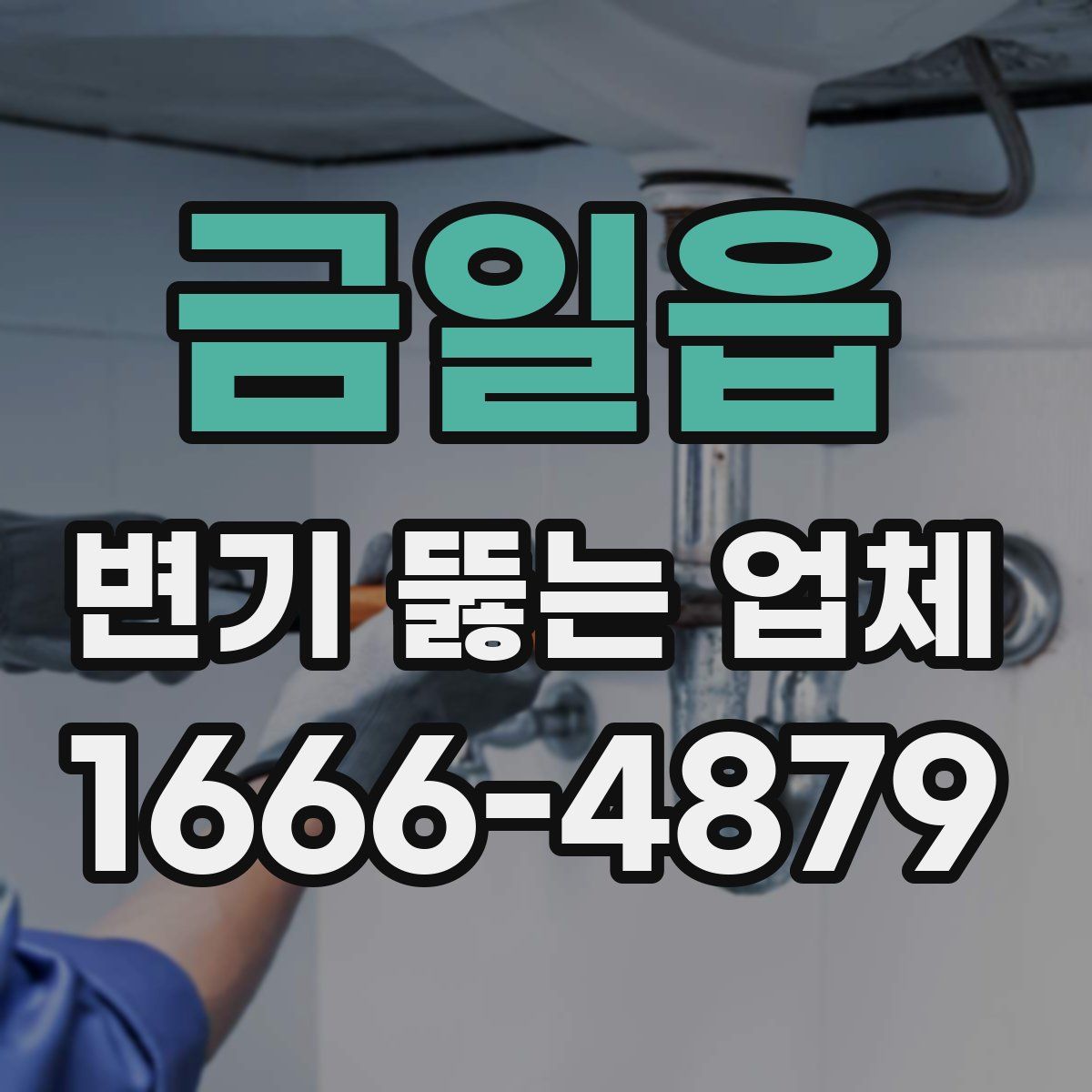 금일읍 변기 뚫는 업체
