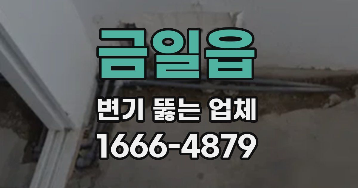 금일읍 변기 뚫는 업체