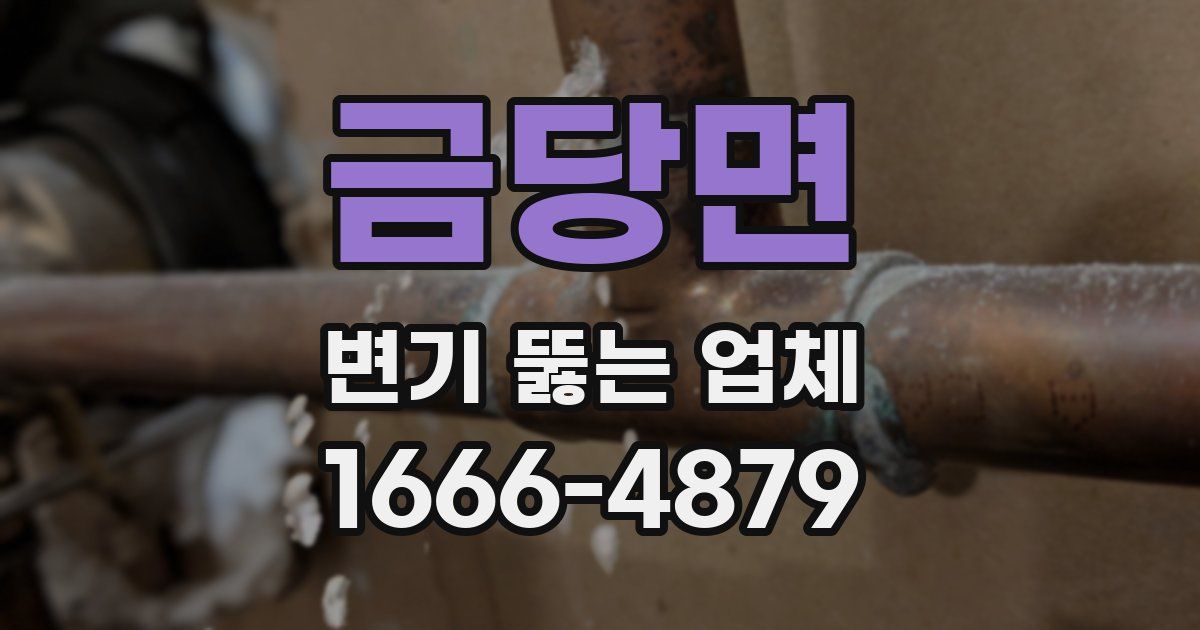 금당면 변기 뚫는 업체