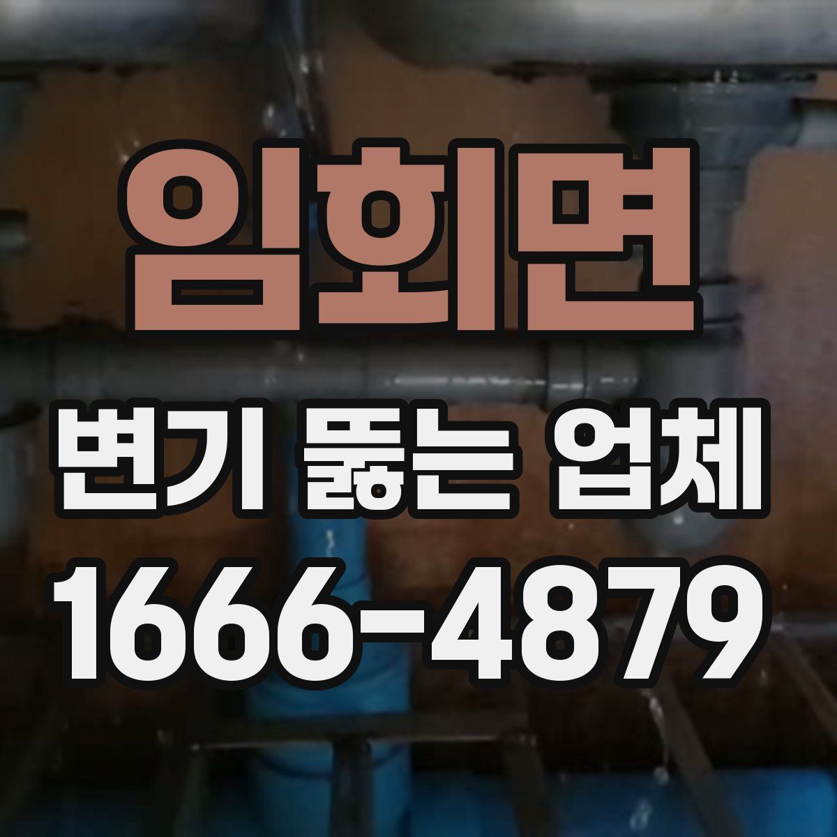 임회면 변기 뚫는 업체