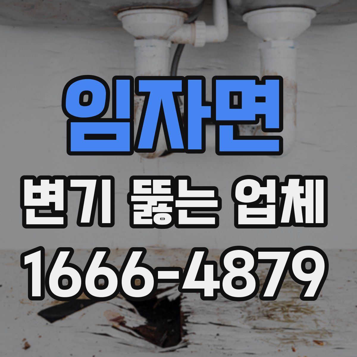 임자면 변기 뚫는 업체