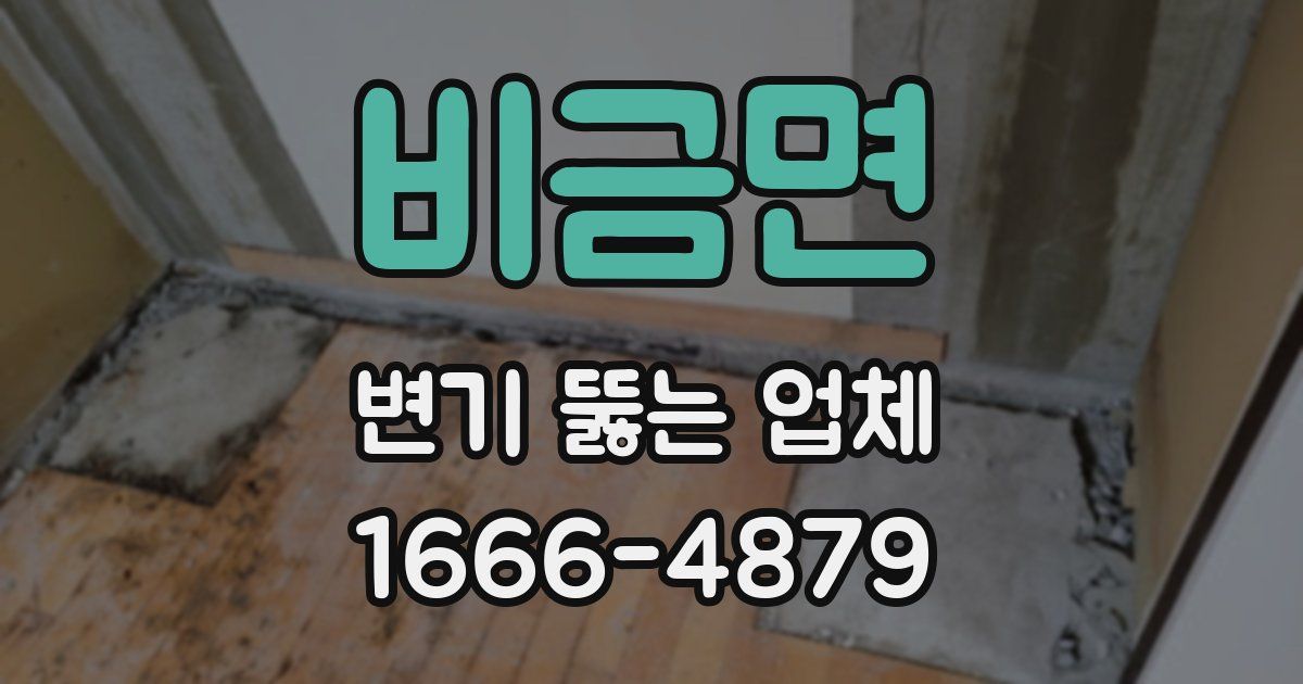 비금면 변기 뚫는 업체