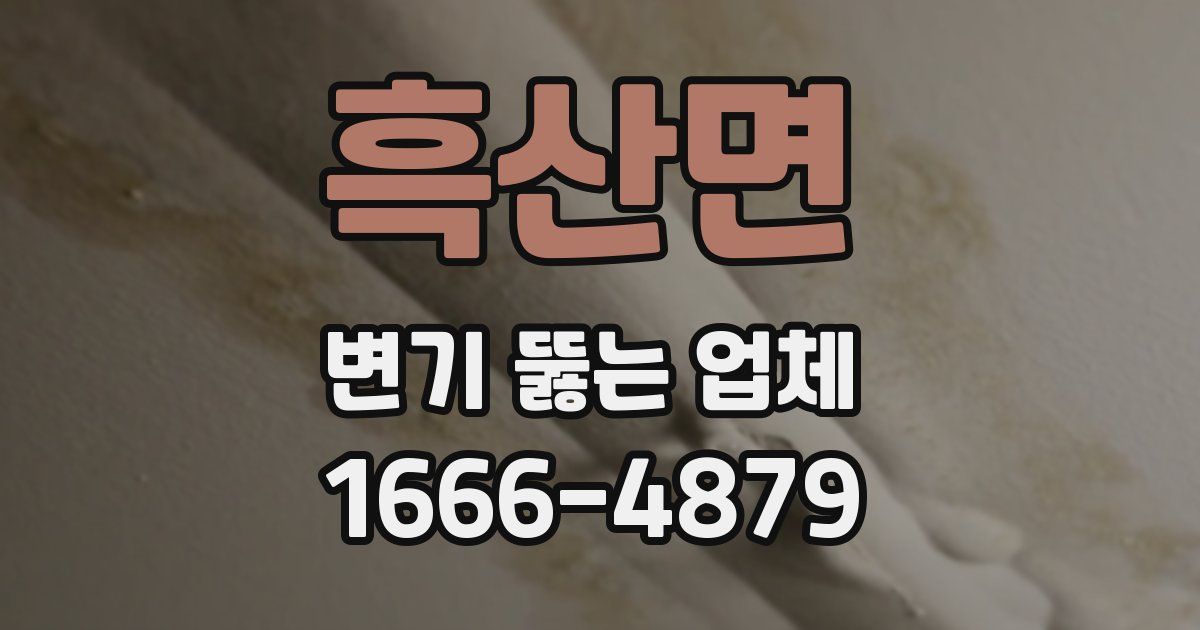 흑산면 변기 뚫는 업체