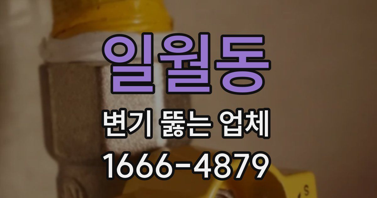일월동 변기 뚫는 업체