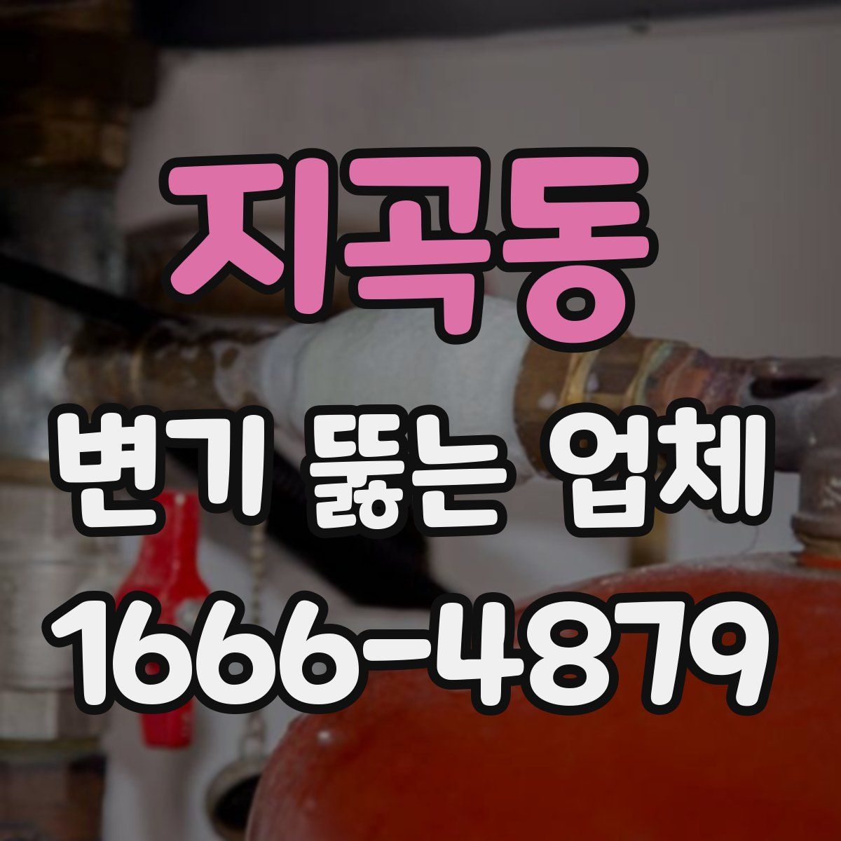 지곡동 변기 뚫는 업체