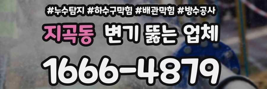 지곡동 변기 뚫는 업체