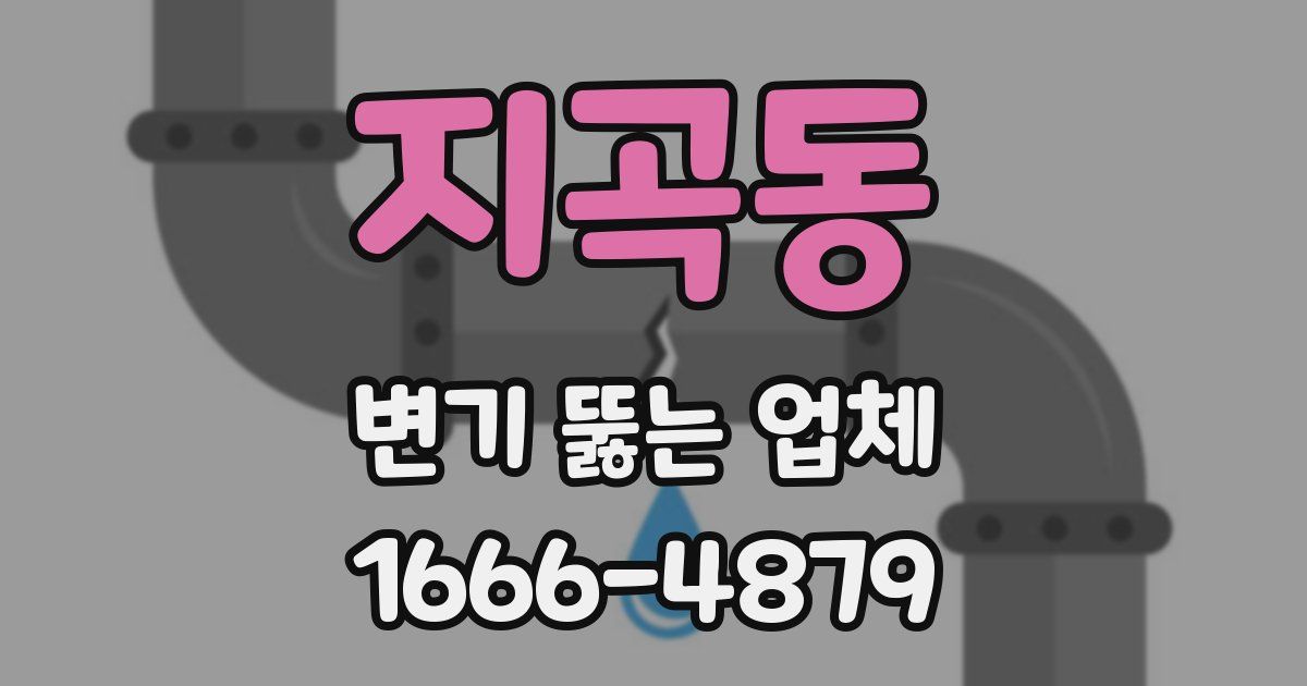 지곡동 변기 뚫는 업체