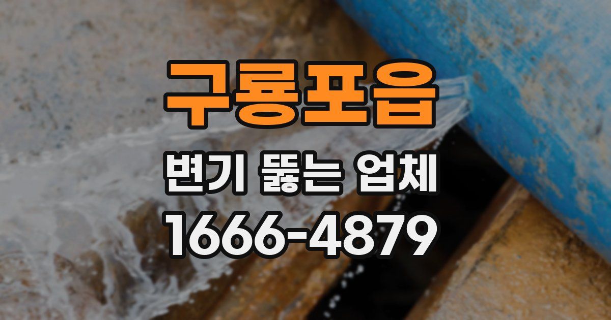 구룡포읍 변기 뚫는 업체