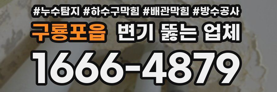 구룡포읍 변기 뚫는 업체