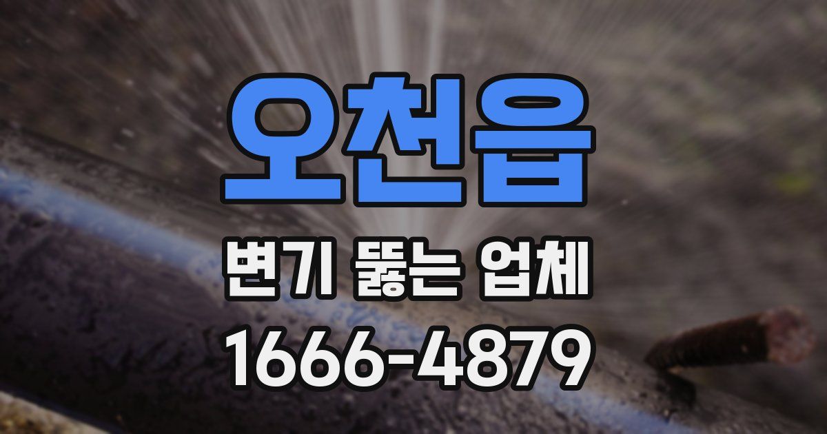 오천읍 변기 뚫는 업체