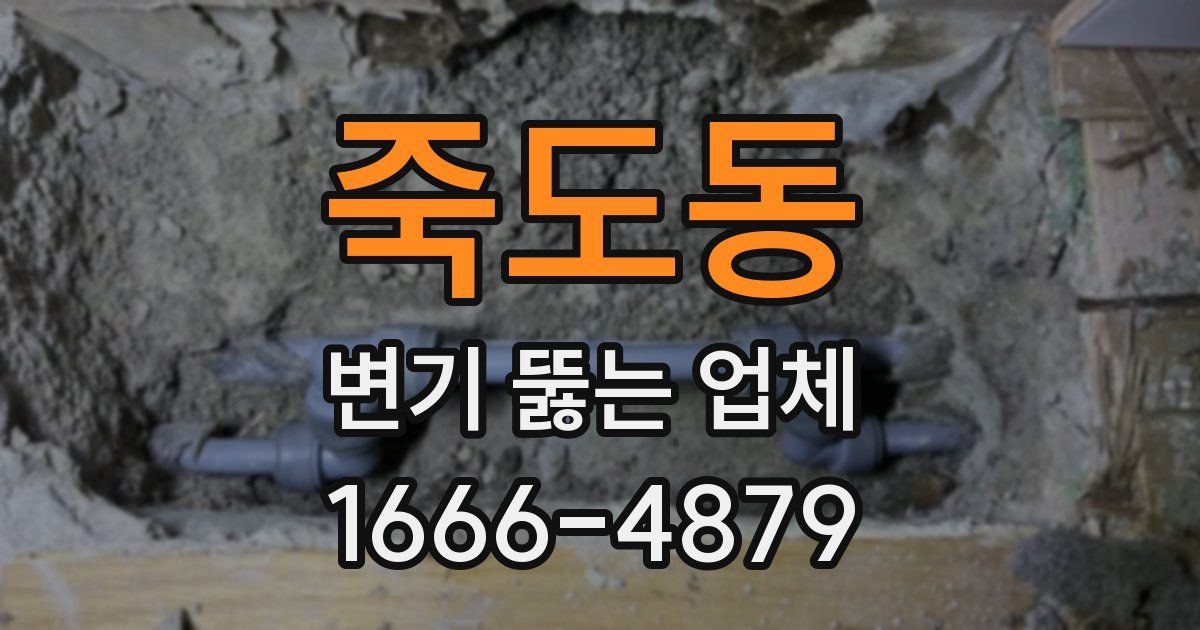 죽도동 변기 뚫는 업체